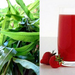 Strawberry and verbena drink